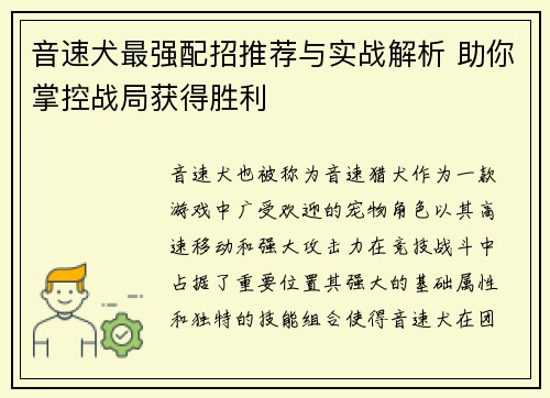 音速犬最强配招推荐与实战解析 助你掌控战局获得胜利 音速犬最强配招推荐与实战解析 助你掌控战局获得胜利